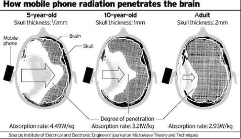 How cell phone radiation penetrates the brain