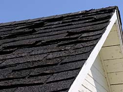 Certainteed shingles roof problem