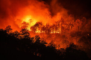 PG&E Executives Sued Personally for California Wildfire Damage