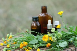 Herbal Remedies May Be Harmful to Health