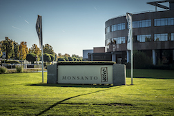 Monsanto Loses Bid to Delay Placement of Roundup on Unflattering List