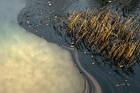 River polluted with oil