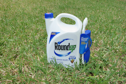 More Evidence Linking Monsanto’s Roundup to Cancer
