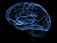 Traumatic Brain Injury—Critical Information