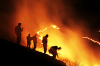 LA Wildfire Explodes to 20,000 Acres
