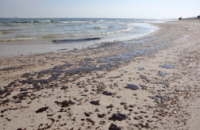 BP Oil Spill Lawsuits to be Heard in New Orleans