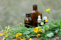 GNC under Scrutiny Again Over Herbal Supplement Ingredients