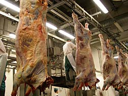 Factory Farm raw meat