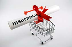 Insurance Shopping