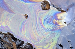 BP Oil Spill Could Affect Eastern Seaboard