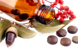 Herbal Supplements: A Massive Industry with Little Oversight