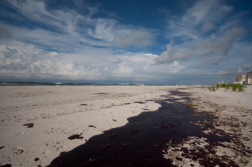 Commission Co-Chair Says Management at Fault in BP Oil Spill