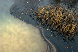 BP Oil Spill: Officials Consider Changes to Law