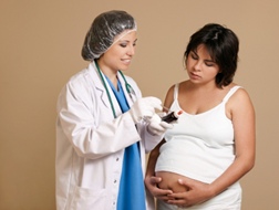 Questions about Pristiq and Pregnancy, Potential Risk to Fetus