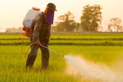 Recent Monsanto Roundup Lawsuit Targets Alleged Marketing Violations
