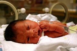 Studies Show Effects of Effexor on Newborns