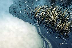 Origin of Southern California Oil Spill Unknown
