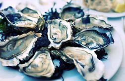 Texas Oysters Recalled for Norovirus Contamination