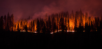 Attorney Estimates California Wildfire Damage is in the Billions