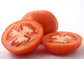 salmonella tomatoes