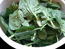 spinach ecoli outbreak